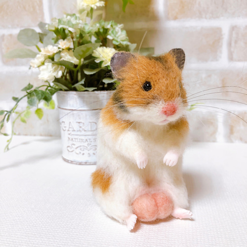 タマ座布団 ノーマルバンデッド ゴールデンハムスター 羊毛フェルト