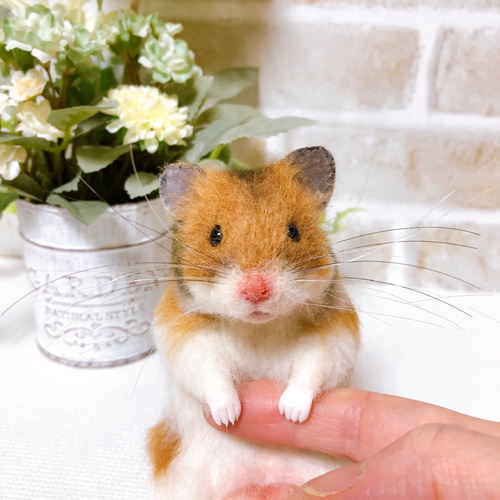 タマ座布団 ノーマルバンデッド ゴールデンハムスター 羊毛フェルト