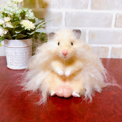 タマ座布団 長毛キンクマ ゴールデンハムスター 羊毛フェルト 羊毛