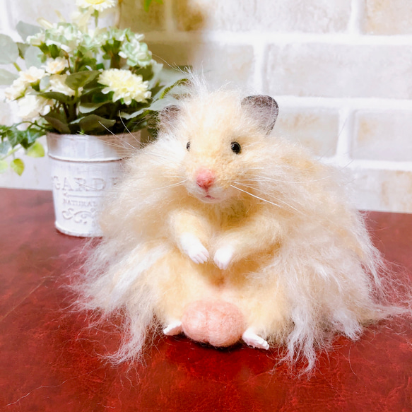 タマ座布団 長毛キンクマ ゴールデンハムスター 羊毛フェルト 羊毛