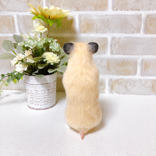 ゴールデンハムスター＆マスカット◇羊毛フェルト キンクマ ゴールデンハムスター 羊毛フェルト 羊毛フェルト