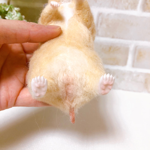 キンクマ ゴールデンハムスター 羊毛フェルト 羊毛フェルト