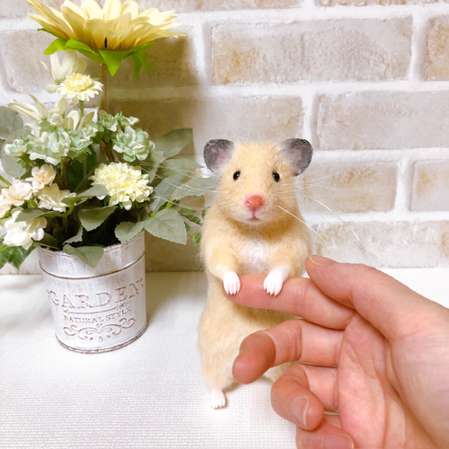 ゴールデンハムスター＆マスカット◇羊毛フェルト ゴールデンハムスター＆マスカット◇羊毛フェルト ゴールデン