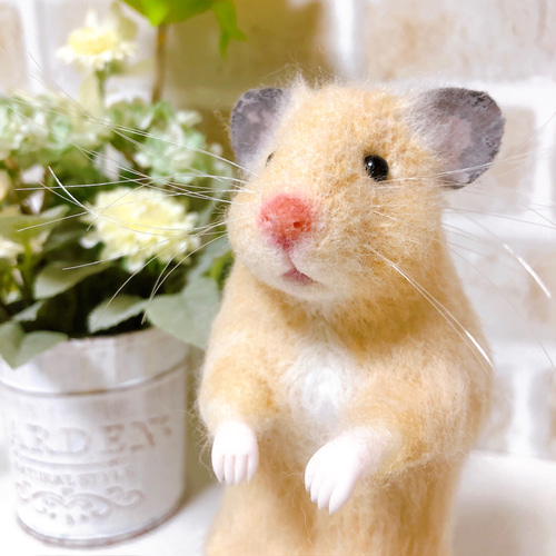 キンクマ ゴールデンハムスター 羊毛フェルト 羊毛フェルト *ゆったり