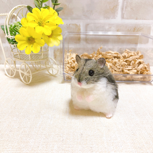 ノーマルカラー ジャンガリアンハムスター 羊毛フェルト 羊毛