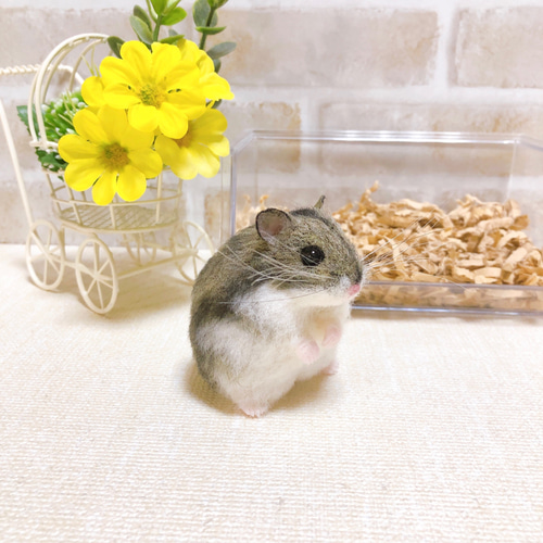 ノーマルカラー ジャンガリアンハムスター 羊毛フェルト 羊毛