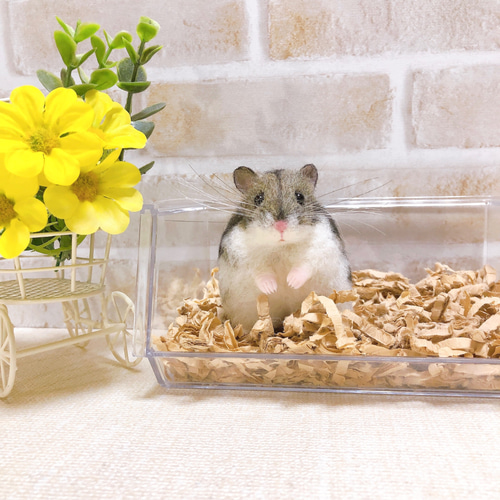 ハムスター　羊毛フェルト 羊毛フェルト ハムスター - メルカリ