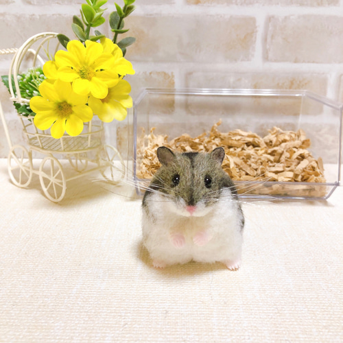 ノーマルカラー ジャンガリアンハムスター 羊毛フェルト 羊毛フェルト