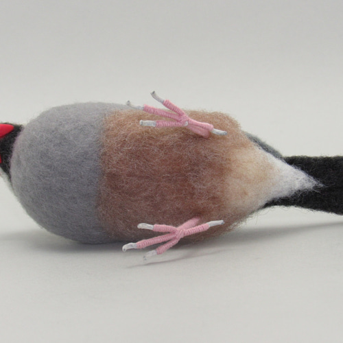 本トリ No.105 桜文鳥 14号 / 羊毛フェルト リアルサイズ 羊毛