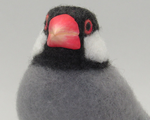 f8eb0106234f4a62f2e69f4bb561ae