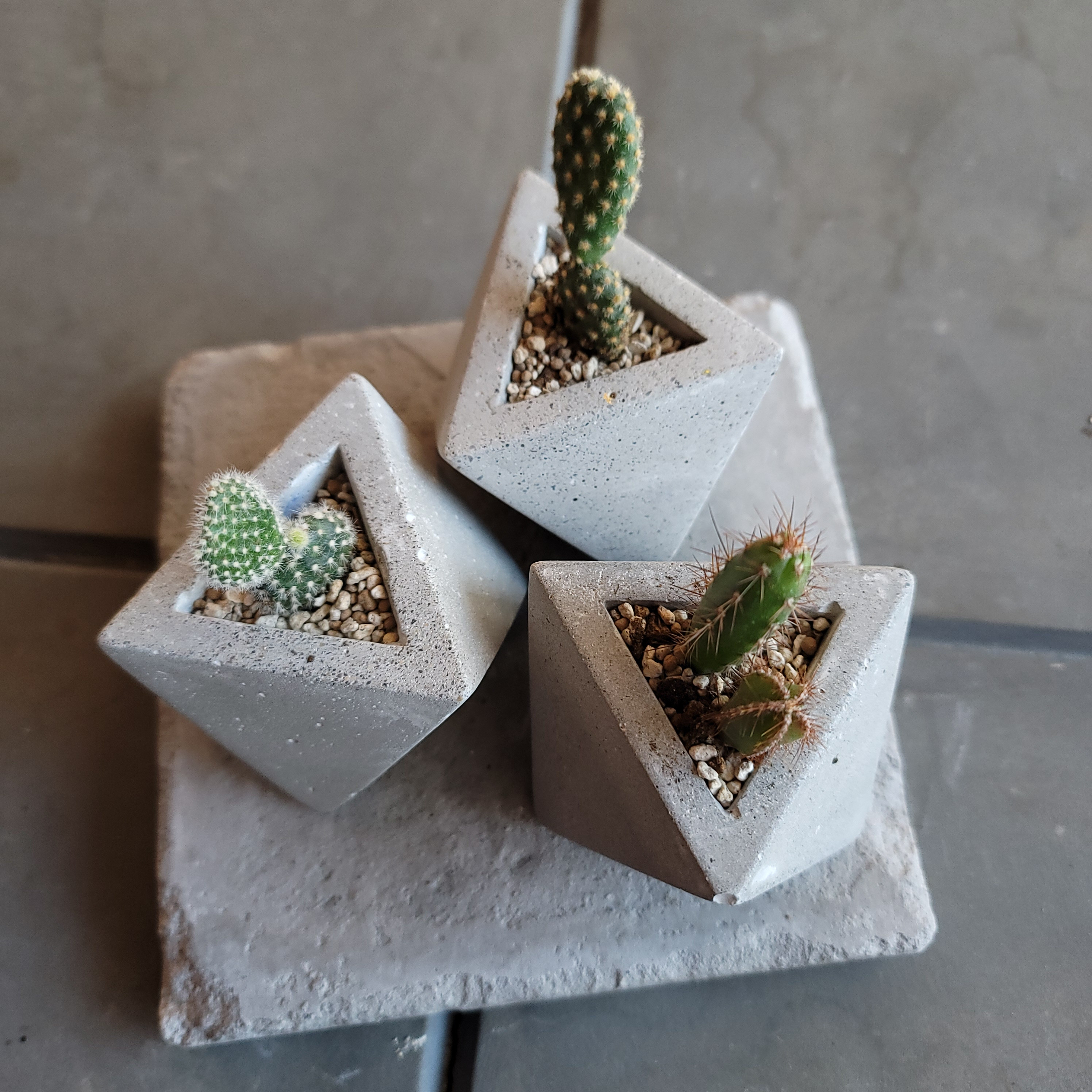 セメント鉢 三角形 cement pot//Triangle 植木鉢 一輪挿し・花瓶