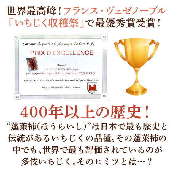 多伎いちじくフルーツチョコレート｜ドライフルーツ 人気 通販 敬老の日 お歳暮 クリスマス バレンタイン 3枚目の画像