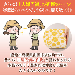 多伎いちじくフルーツチョコレート｜ドライフルーツ 人気 通販 敬老の日 お歳暮 クリスマス バレンタイン 7枚目の画像