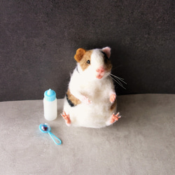 モルモット（ベビー）　羊毛フェルト　小動物　天竺鼠　ブライス　ドール 3枚目の画像