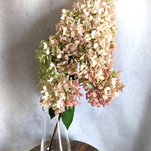 数量限定】ピラミッド紫陽花1本 ドライフラワー 花材 スワッグ