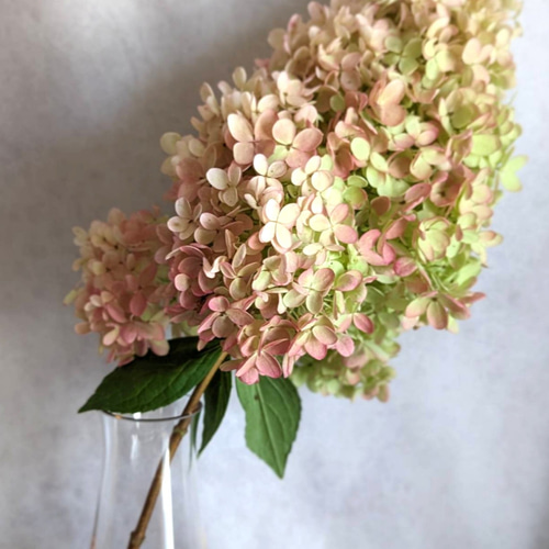 数量限定】ピラミッド紫陽花1本 ドライフラワー 花材 スワッグ