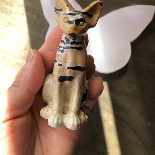 レア!!ピクチャージャスパー☆ねこちゃん☆瀧川神社にて浄化 レア!!ピクチャージャスパー☆ねこちゃん☆瀧川神社にて浄化