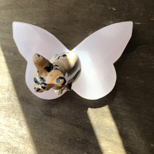 ピンクピクチャージャスパーお皿♡♡No.1606 レア！！ピクチャージャスパー☆ねこちゃん☆瀧川神社にて浄化