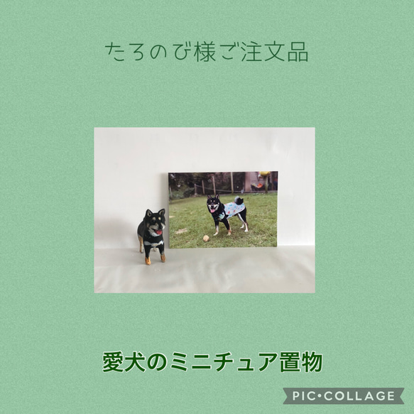 たろのび様ご注文品＊愛犬のミニチュア置物 1枚目の画像