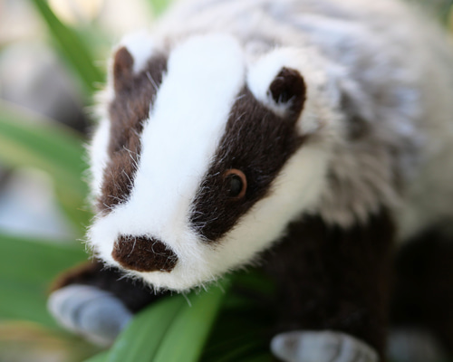 アンティーク　西ドイツ　ワグナー　アナグマ ba3c0fb8bcdad944ec014b47e67c2d