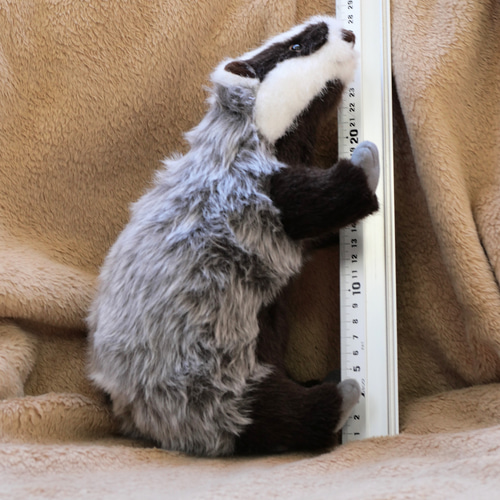 ヨーロッパのアナグマ（2.5ヶ月以内発送) ぬいぐるみ Stepping-Dogs