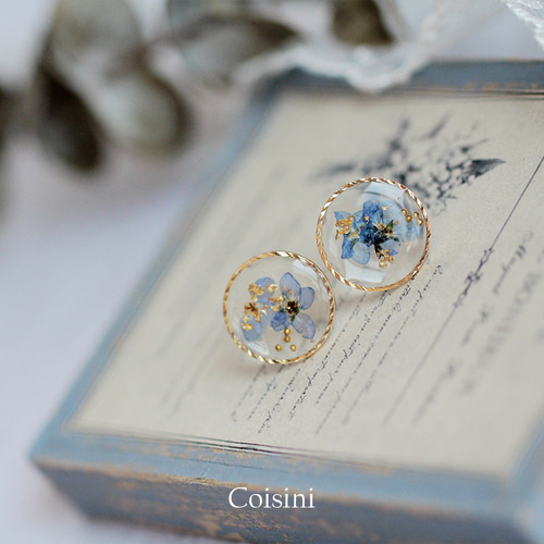 ドライフラワーピアス レジンピアス クリアピアス 勿忘草 silver925