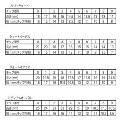 【ネイルチップ】クリスマスな雪の結晶＆リングネイルチップ 5枚目の画像