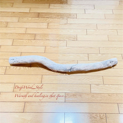 流木インテリア 太く無骨なうねる天然流木のシーリングライト ペンダントライト LED ランプ 照明器具 北欧 N1 10枚目の画像