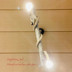 流木インテリア 大きなコブのある天然流木のシーリングライト ペンダントライト LED ランプ 照明器具 北欧 11枚目の画像