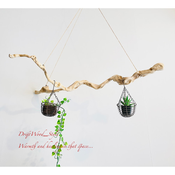 流木インテリア 芸術的な枝のうねりが美しい天然流木のハンガーラック 衣装掛け ハンギング 吊り下げ エアプラント N2 4枚目の画像