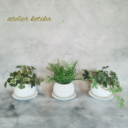 フェイクグリーンミニ陶器3個セットWH（ソーサー付）／ 人工観葉植物