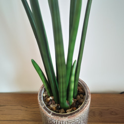 フェイクグリーンの鉢植え(サンスベリア·スタッキー) ／セラミックポット  人工観葉植物 2枚目の画像