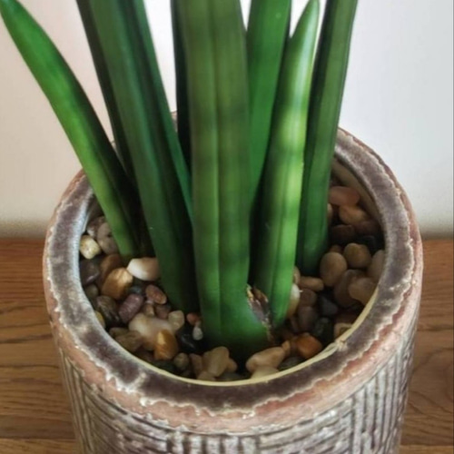 光触媒　人工観葉植物　ウォールグリーン　フェイクグリーン　サンスベリアスタッキー 光触媒 人工観葉植物 ウォールグリーン フェイクグリーン