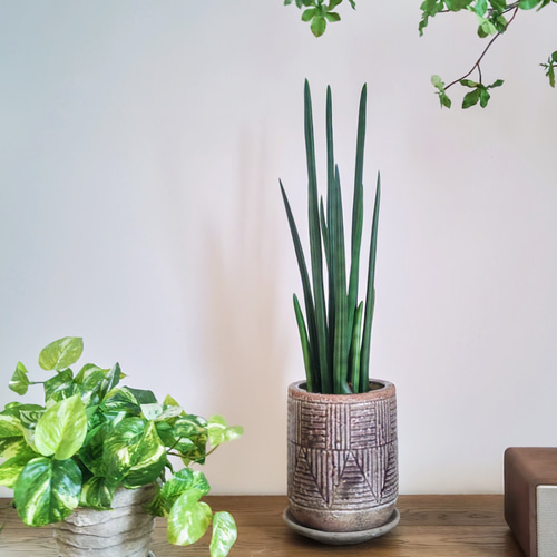 光触媒　人工観葉植物　ウォールグリーン　フェイクグリーン　サンスベリアスタッキー フェイクグリーンの鉢植え(サンスベリア·スタッキー
