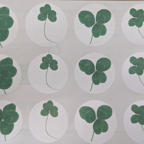 五つ葉のクローバー（5つ葉のクローバー）FIVE CLOVER 丸シール24枚 四