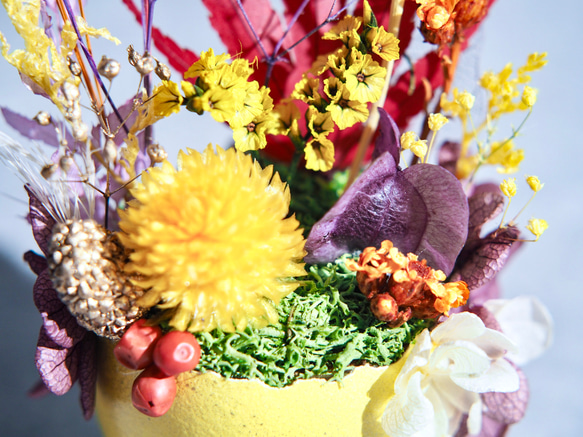 卵に眠る花の箱庭『秋の野原/紅葉』 3枚目の画像