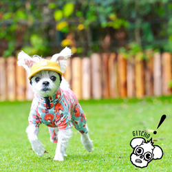 ドッグキャップ-コーデュロイのヤマブキ（耳出し）犬用帽子 17枚目の画像