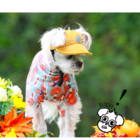 ドッグキャップ-コーデュロイのヤマブキ（耳出し）犬用帽子 8枚目の画像