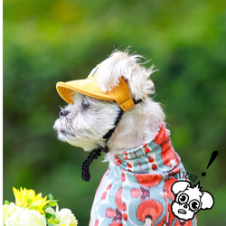 ドッグキャップ-コーデュロイのヤマブキ（耳出し）犬用帽子 13枚目の画像