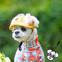 ドッグキャップ-コーデュロイのヤマブキ（耳出し）犬用帽子 12枚目の画像
