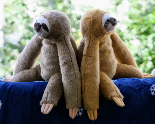 9487543a39e275d221560ad09791d1