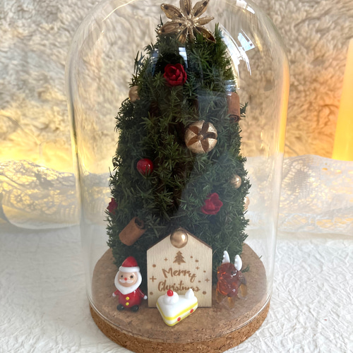 超早割祭2024 早割クリスマス2024 コルクガラスドームツリー ガラス 