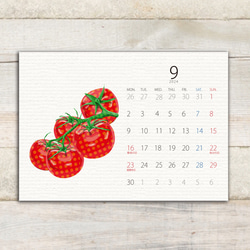 番茄日曆 2024（四月開始/明信片大小） 第6張的照片