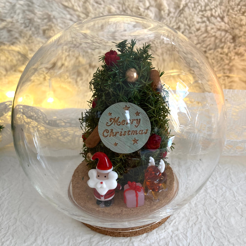 超早割クリスマス2025 プリザーブドドライフラワーガラスドーム ガラス
