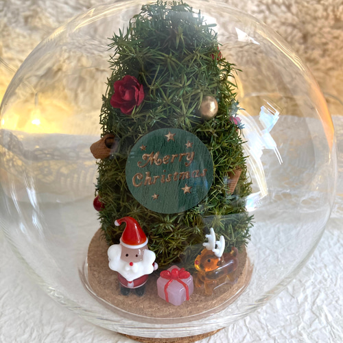 超早割クリスマス2025 プリザーブドドライフラワーガラスドーム