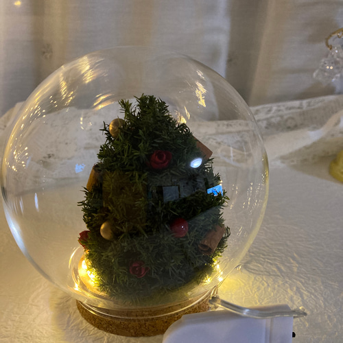 超早割クリスマス2025 プリザーブドドライフラワーガラスドーム ガラス