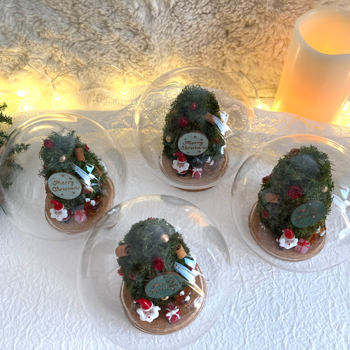 超早割クリスマス2025 プリザーブドドライフラワーガラスドーム ガラス