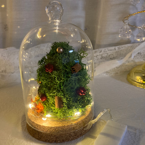 超早割祭2024 早割クリスマス2024プリザーブドドライフラワーガラス