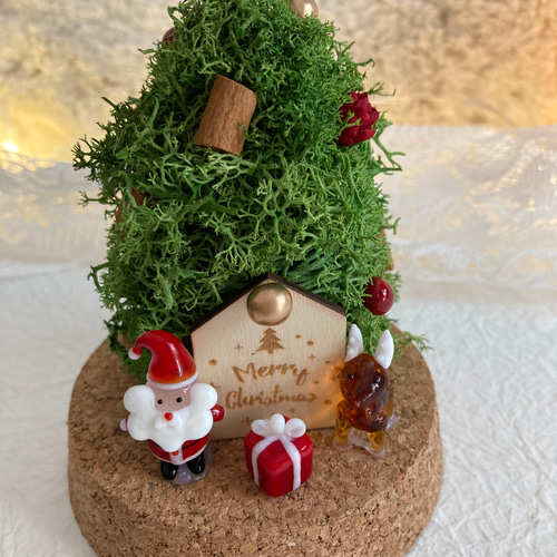 超早割祭2024 早割クリスマス2024プリザーブドドライフラワーガラス