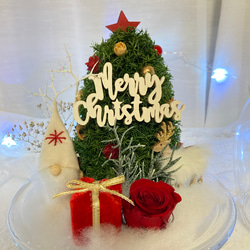 新作早割クリスマス2023 プリザーブドドライフラワーガラスドーム バラとヒムロスギツリー サンタトナカイプレゼント 13枚目の画像